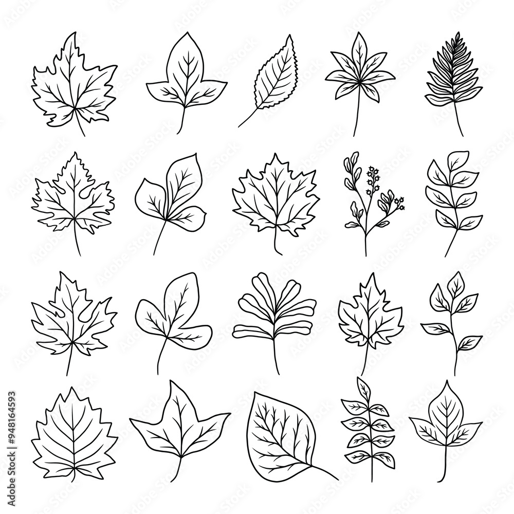 set of autumn leaves vector set of autumn leaves vector