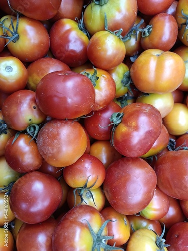 The tomato is the edible berry of the plant Solanum lycopersicum, commonly known as the tomato plant. The species originated in western South America, Mexico, and Central America. 