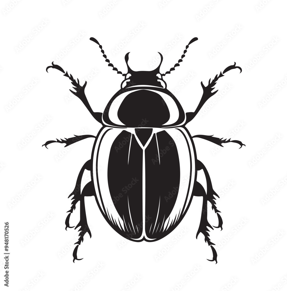 Black and White Beetle Vector Illustration with Transparent Background Black and White Beetle Vector Illustration with Transparent Background