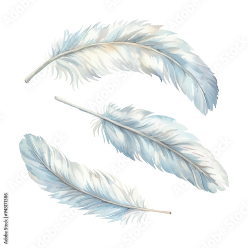 Watercolor white bird feathers png. Decorative bird white feathers on a transparent background. Elements for wedding designs, celebrations and other festive events. Vector illustration.