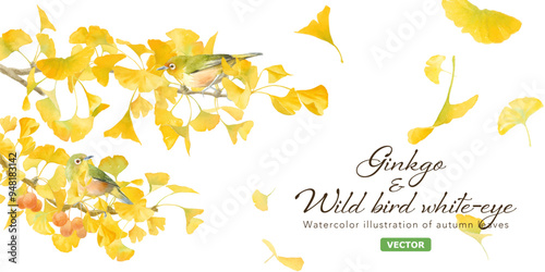 黄色に色づいた銀杏（イチョウ）と小鳥（メジロ）の水彩イラスト。アシンメトリーな秋のイメージバナー背景。（ベクター。レイアウト変更可能）