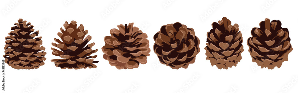 Set of pine cones of various shapes isolated on white background. Hand drawn Christmas decor. Set of pine cones of various shapes isolated on white background. Hand drawn Christmas decor.