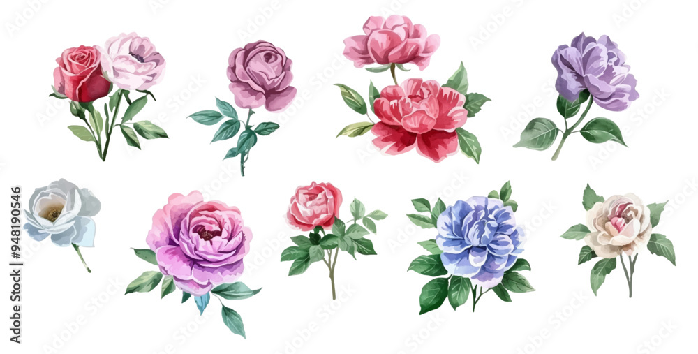 A set of watercolor roses png. Various rose flowers on isolated background. Elements for invitation design and more. Vector illustration A set of watercolor roses png. Various rose flowers on isolated background. Elements for invitation design and more. Vector illustration