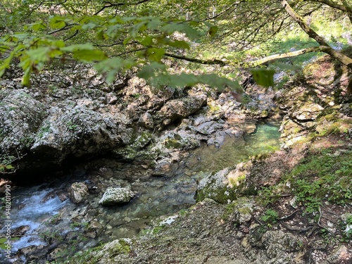 The Mostnica Gorge, Triglav National Park - Bohinj, Slovenia - Korita Mostnice, Triglavski narodni park - Bohinj, Slovenija (die Mostnica-Schlucht - Nationalpark Triglav) / The canyon Mostnica photo