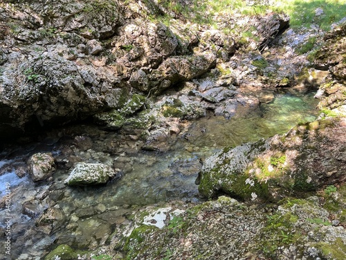 The Mostnica Gorge, Triglav National Park - Bohinj, Slovenia - Korita Mostnice, Triglavski narodni park - Bohinj, Slovenija (die Mostnica-Schlucht - Nationalpark Triglav) / The canyon Mostnica photo