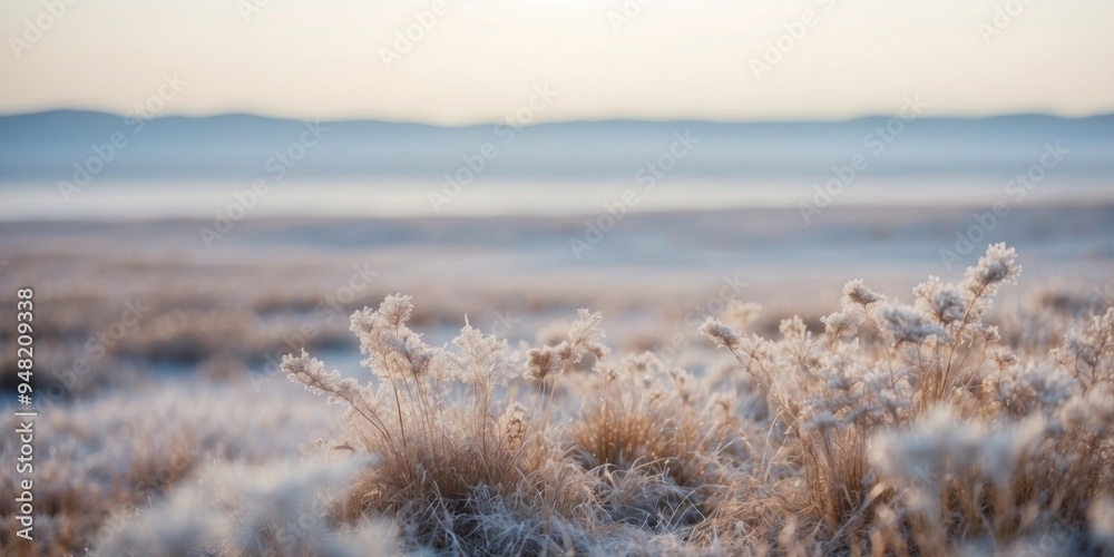 Serene Winter Landscape of Frost-Covered Tundra under Pale Sky. Serene Winter Landscape of Frost-Covered Tundra under Pale Sky.