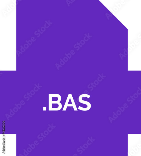 BAS File extension icon fill crisp corners with symbol