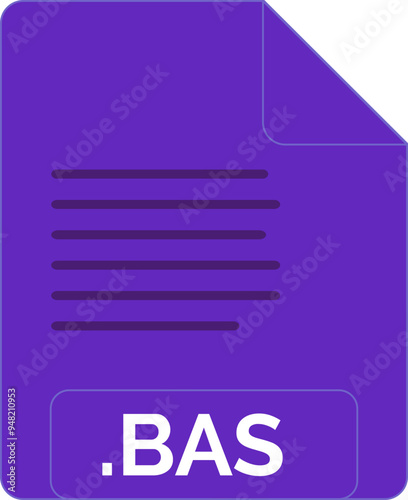 BAS File icon minimal fill
