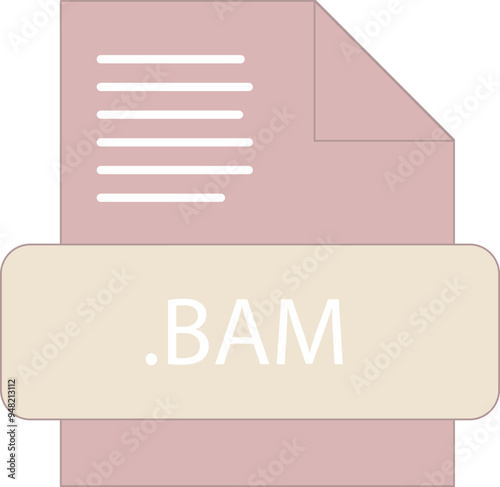 BAM File extension icon fill and bebes writting