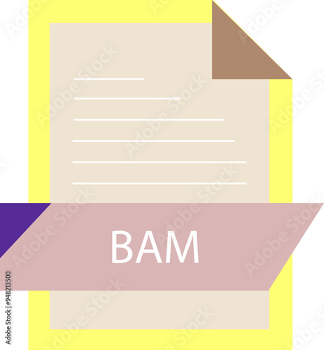 BAM File format icon modern design