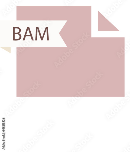 BAM File format icon roe color fill