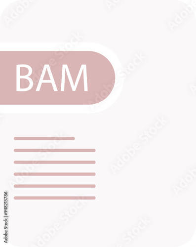 BAM File icon deep and minimal