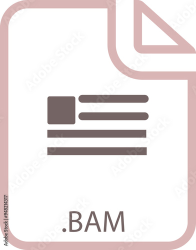 BAM File icon with symbol