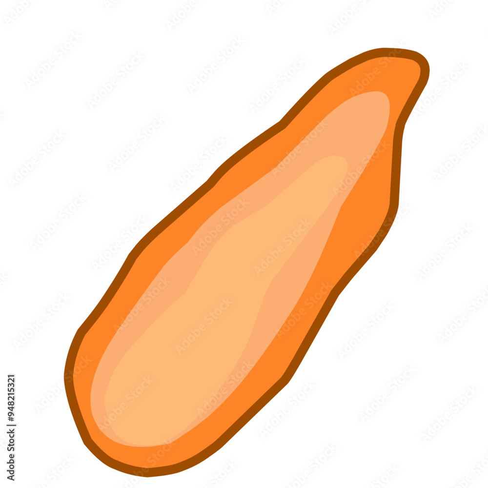 illustration of a carrot illustration of a carrot