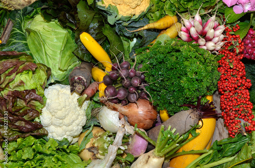 Fototapeta Naklejka Na Ścianę i Meble -  Légumes; salade; radis; oignon; carotte; navet; courgette; raifort; chou; bettarave; celleri; persil