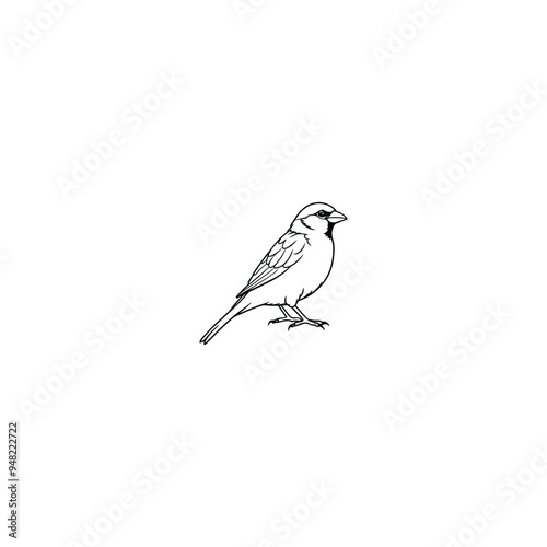 bird on a branch isolated