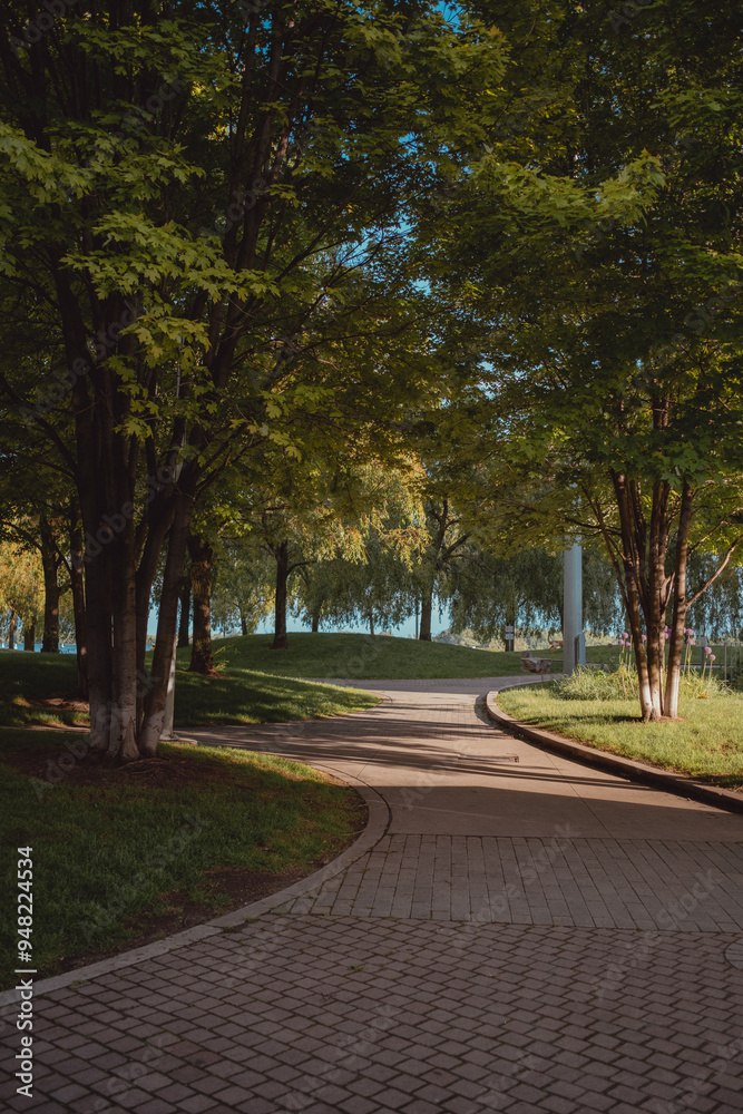 Trees Lines Trees Lines