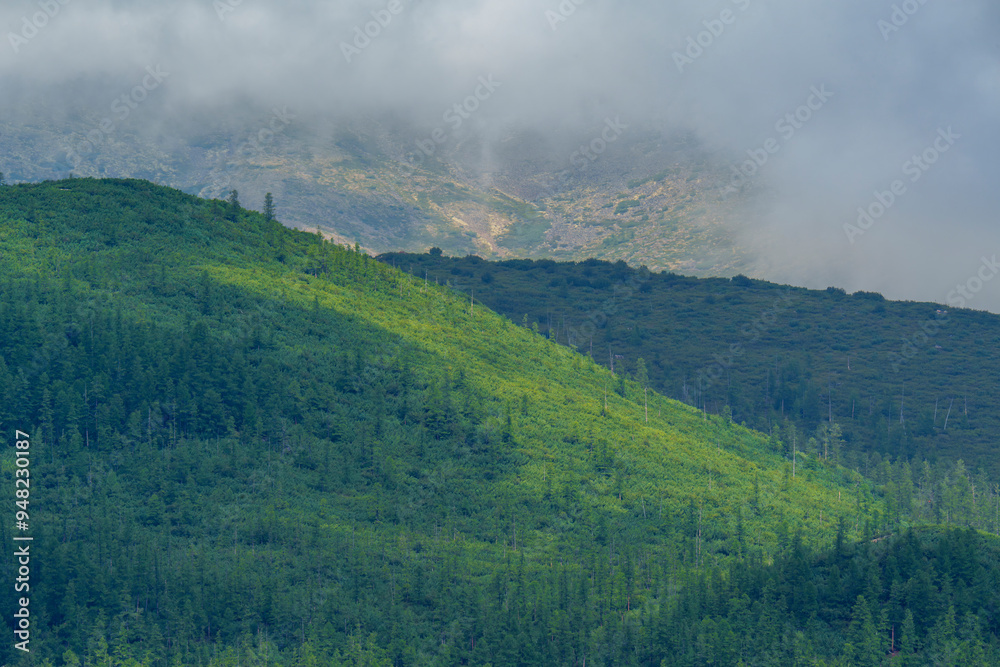 Lush forested mountains under a cloudy sky Lush forested mountains under a cloudy sky