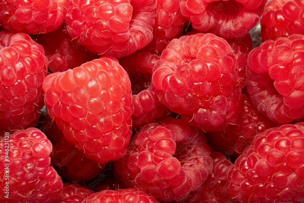 Juicy ripe raspberries close up. Fruity background Juicy ripe raspberries close up. Fruity background
