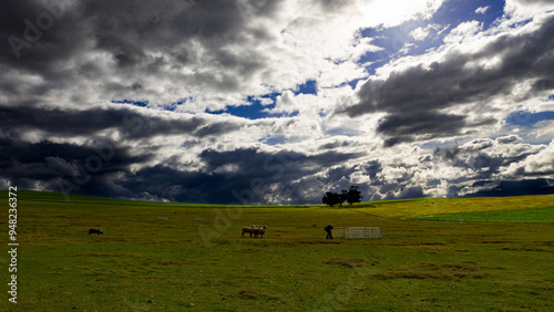South African Sheepdog Association trials in Caledon, Western Cape, South Africa.  July 2024