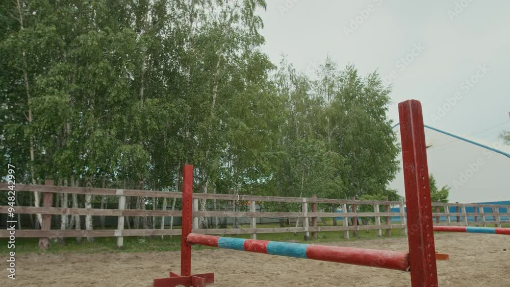 Dedicated young female equestrian sitting on horseback during hurdle jumps training with her Bay horse in well-maintained outdoor sanded arena with several wooden hurdles Dedicated young female equestrian sitting on horseback during hurdle jumps training with her Bay horse in well-maintained outdoor sanded arena with several wooden hurdles