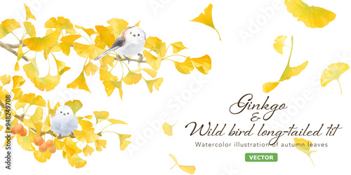 黄色に色づいた銀杏（イチョウ）と小鳥（エナガ）の水彩イラスト。アシンメトリーな秋のイメージバナー背景。（ベクター。レイアウト変更可能）