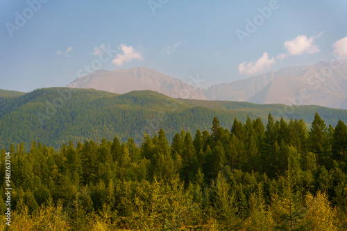 Landscape of green forest and mountains under blue sky