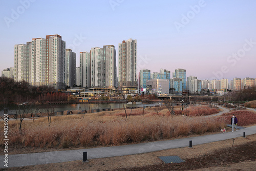 Hwaseong-si, Gyeonggi-do, South Korea - December 4, 2021: Afternoon view of trails with pampas grass against lake and apartments at Dongtan New Town in autumn photo