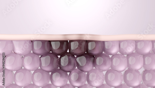 Melasma and Dark spot removal Illustration for Skincare Products. 3D rendering photo