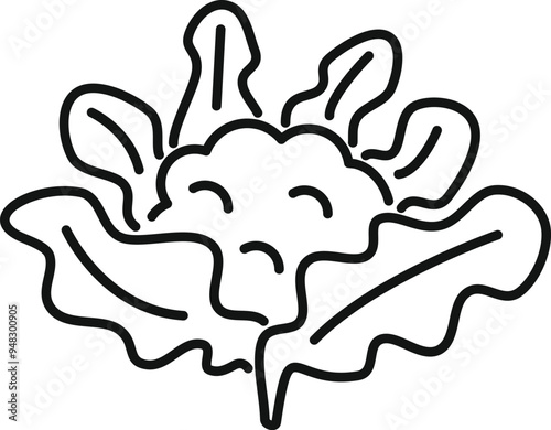 Simple line drawing of a fresh cauliflower head growing on leaves