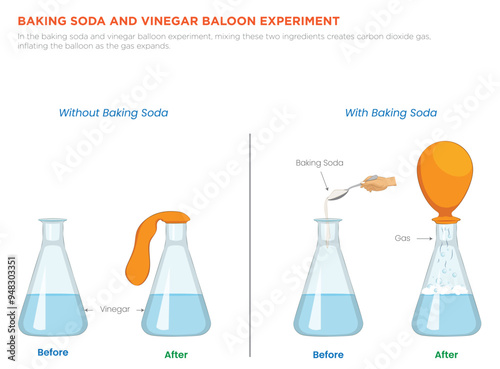 Baking Soda and Vinegar Balloon Experiment Inflate a balloon using simple chemical reactions