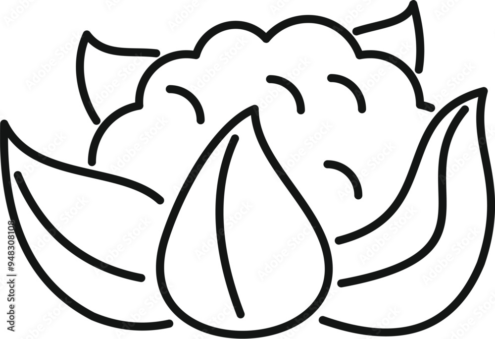Simple line drawing of a fresh cauliflower growing, perfect for healthy eating and vegan lifestyle projects