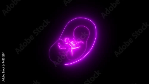 Human embryonic and fontal development, glowing neon human fetus inside the womb, human anatomy baby,It lies in the uterine cavity of women in reproductive stage. photo