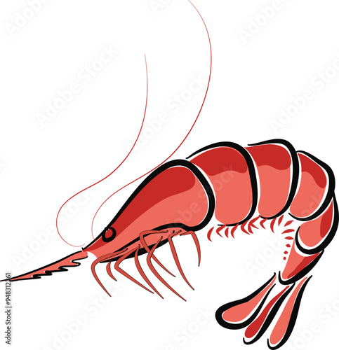 illustration shrimp prawn