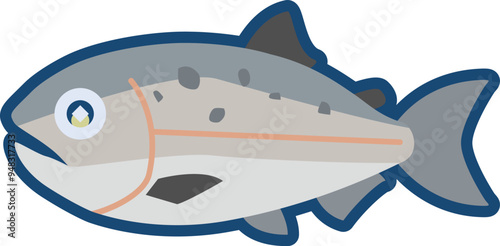 Wallpaper Mural かわいいマスノスケ（キングサーモン）のイラスト Torontodigital.ca