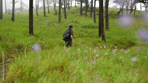 A solitary hiker with a backpack and walking stick pauses in a misty forest, surrounded by tall trees and lush green grass, capturing the serenity and solitude of a quiet hike