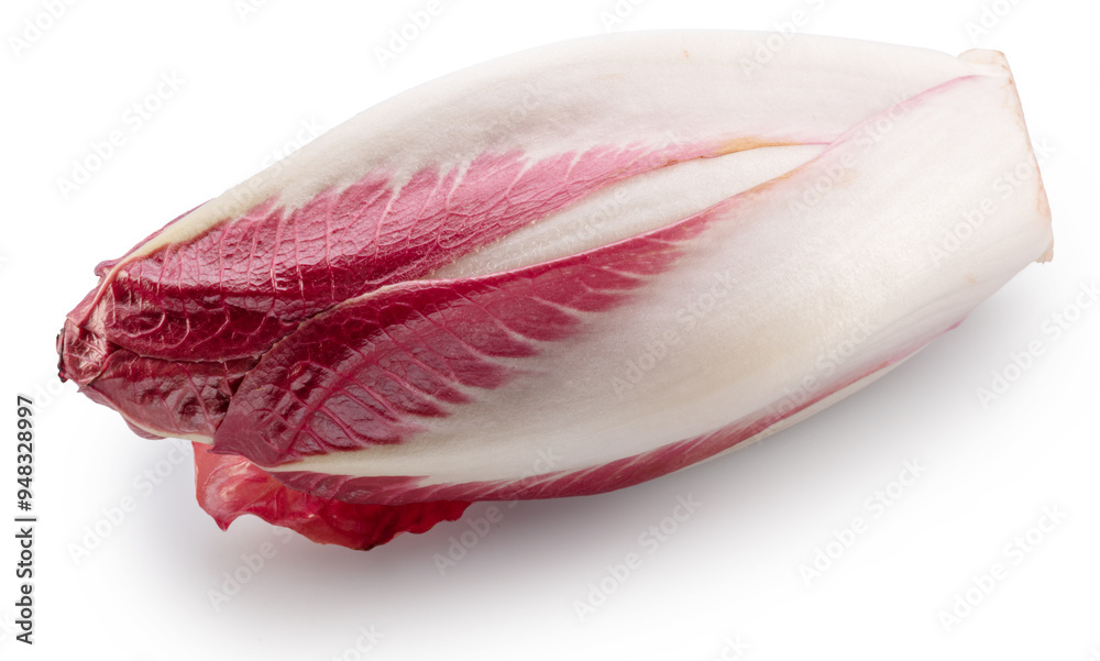 Red endive on white background. File contains clipping path. Red endive on white background. File contains clipping path.