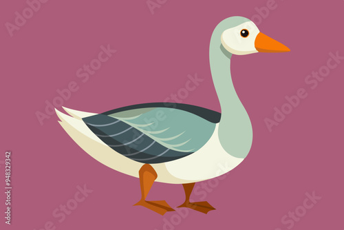 Beautiful bird goose vector art illustration