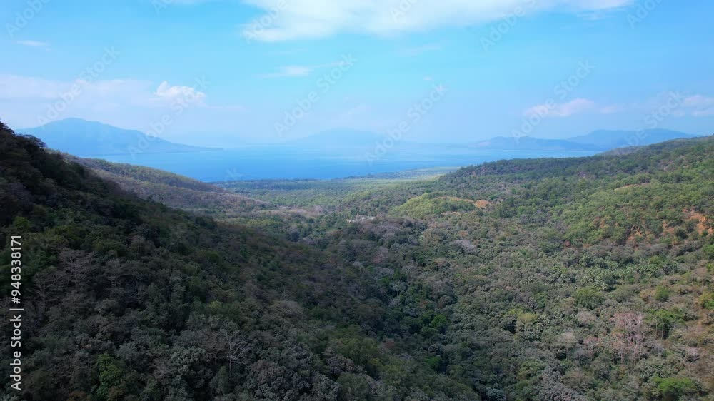 Aerial drone shot of a volcanic area nearby, with many ashes covering the trees and the forest on the surrounding mountains. That's the result of Loewotobi volcano eruption recently. Aerial drone shot of a volcanic area nearby, with many ashes covering the trees and the forest on the surrounding mountains. That's the result of Loewotobi volcano eruption recently.