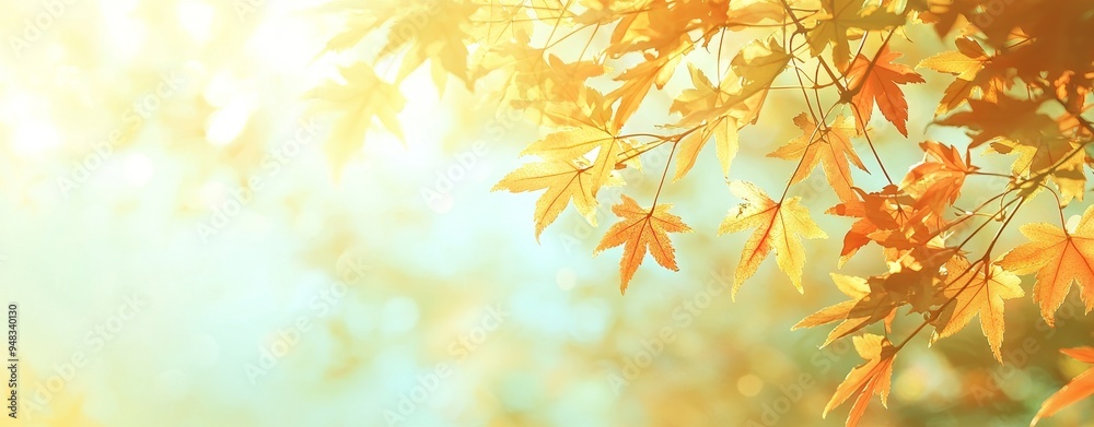 Abstract autumn nature background with yellow leaves Abstract autumn nature background with yellow leaves
