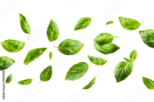 Fresh basil leaves falling against a black background.