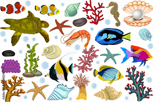 Flora and fauna of the underwater world.Colored vector set with flora and fauna of the underwater world on a transparent background.