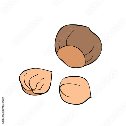 Hand drawn sketch style Hazelnut set. Single, group seeds, hazelnut in nutshells group. Organic nut, vector doodle illustrations collection isolated on white background. Can be used for cafe, menu