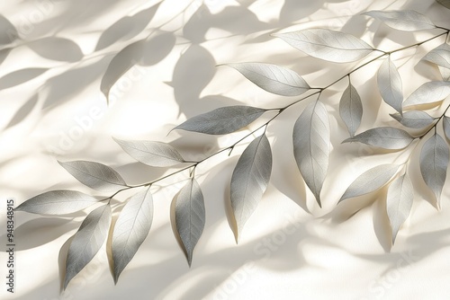 A gray shadow of leaves on a white wall. A neutral neutral nature concept background with space for text.