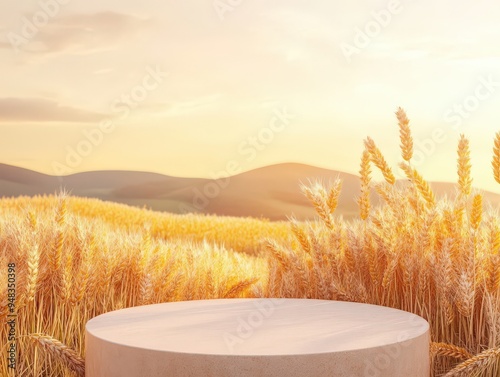 Golden Wheat Field Product Presentation Mockup Background