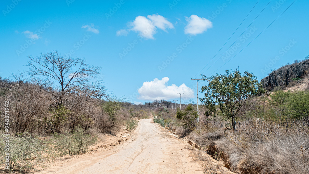 Caminho Solitário: Estrada na Caatinga Seca Caminho Solitário: Estrada na Caatinga Seca
