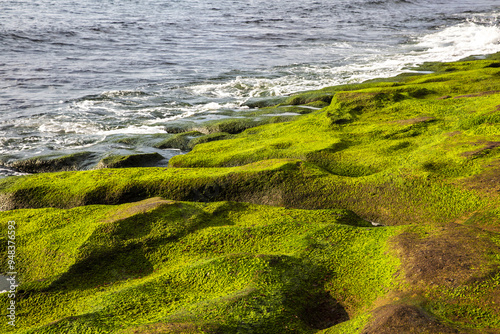 Volcanic rocks with green laver near the sea at Yongmeori Coast near Seogwipo-si, Jeju-do, South Korea  photo