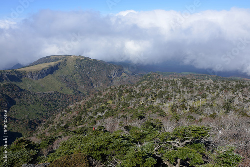 Autumnal and high angle view of green conifer trees against rideges and cloud in the background at Hallasan Mountain near Jeju-do, South Korea photo