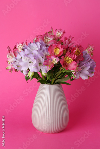 Beautiful alstroemeria flowers in vase on pink background