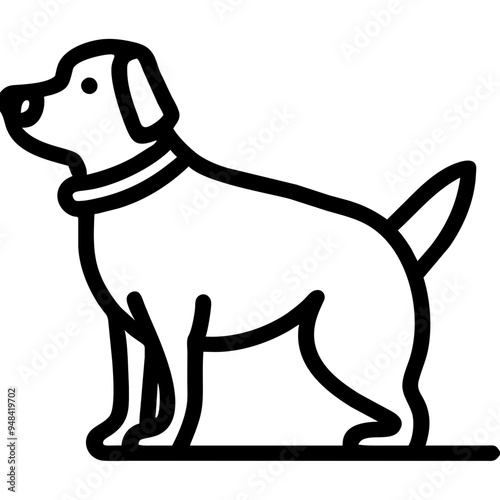 Loyal Dog Sitting Happily, Showcasing Its Affection and Playfulness